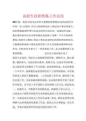 大学生挂职锻炼工作总结.docx