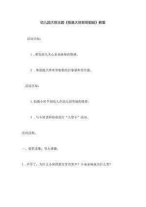 幼儿园大班主题《我是大班哥哥姐姐》教案.docx