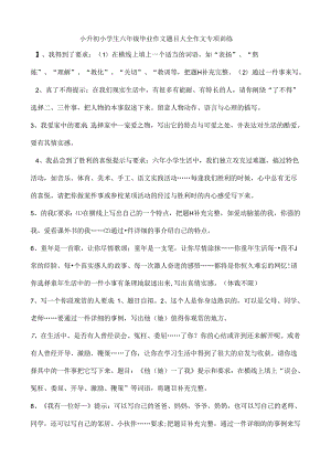 小升初作文训练.docx