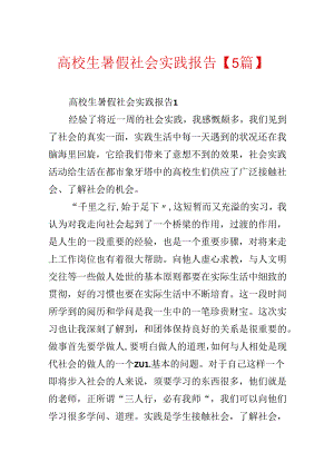 大学生暑假社会实践报告【5篇】.docx