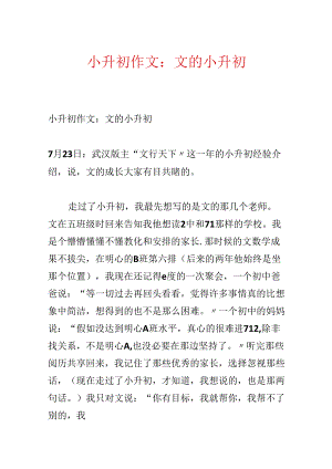 小升初作文：文的小升初.docx