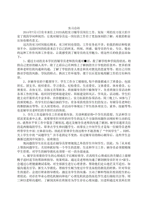 实习辅导员总结.docx