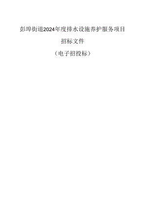 彭埠街道2024年度排水设施养护服务项目招标文件.docx