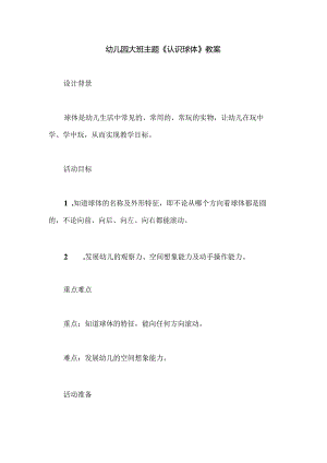 幼儿园大班主题《认识球体》教案.docx