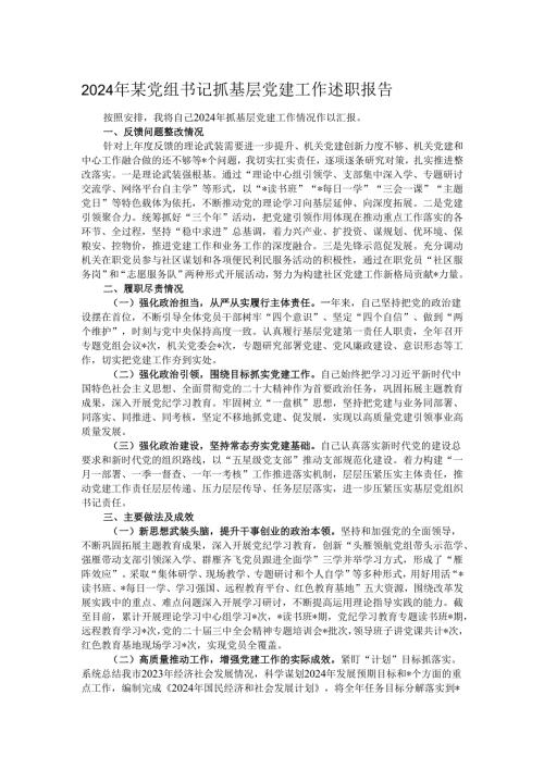 2024年某党组书记抓基层党建工作述职报告.docx