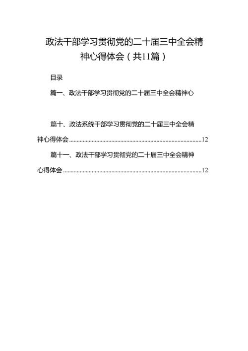 （11篇）政法干部学习贯彻党的二十届三中全会精神心得体会（最新版）.docx