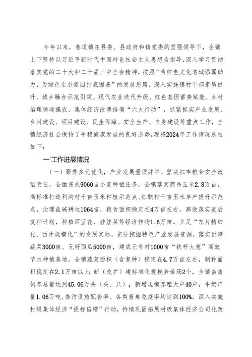 乡镇2024年工作总结及2025年工作计划6篇.docx