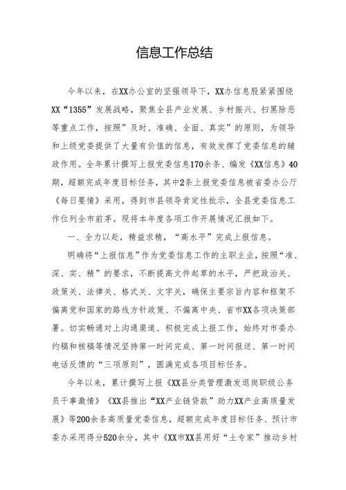 信息工作总结.docx