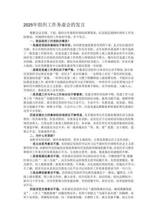 2025年组织工作务虚会的发言.docx