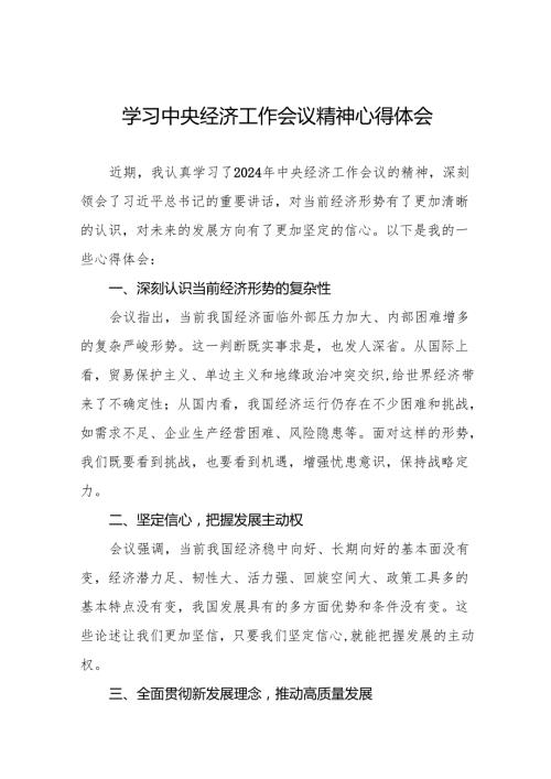 学习2024年中央经济工作会议精神心得体会个人发言材料十篇.docx