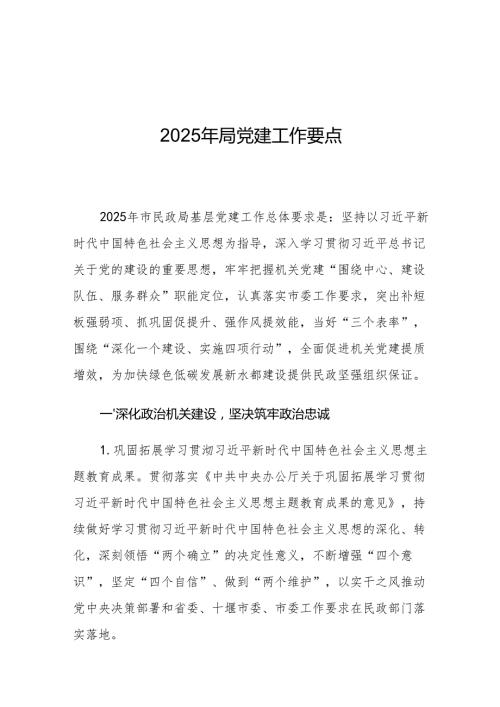 2025年局党建工作要点1.docx