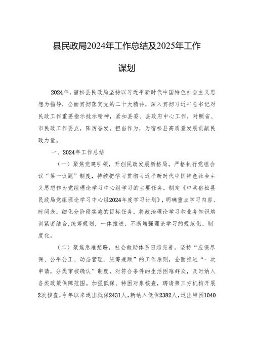 县民政局2024年工作总结及2025年工作谋划.docx