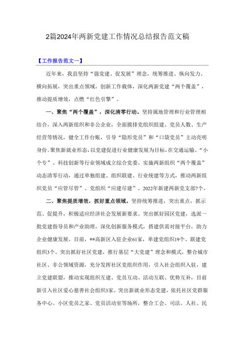 2篇2024年两新党建工作情况总结报告范文稿.docx