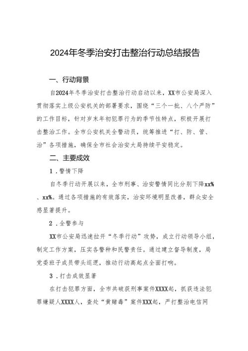 十三篇公安机关2024年冬季治安打击整治行动总结报告.docx