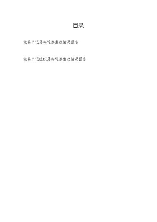 党委书记组织落实巡察整改情况报告2篇.docx