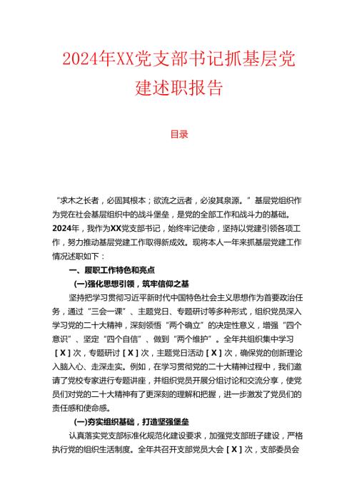 2024年XX党支部书记抓基层党建述职报告.docx