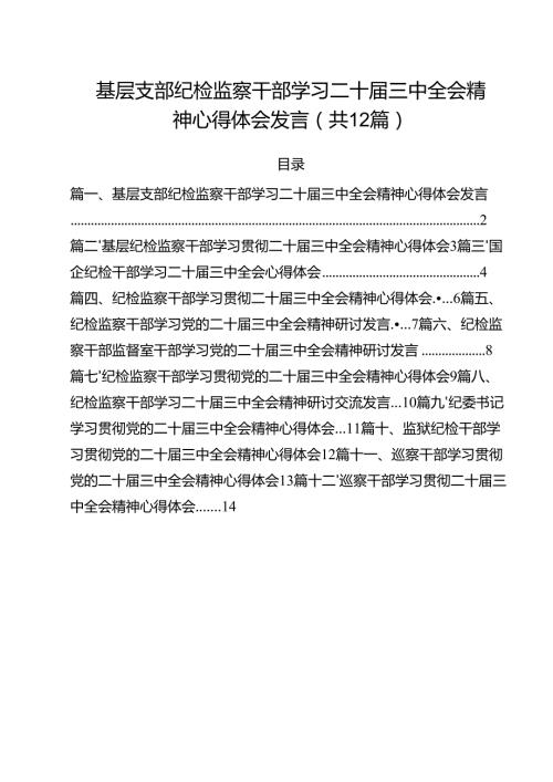 基层支部纪检监察干部学习二十届三中全会精神心得体会发言12篇（详细版）.docx