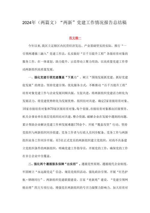 2024年（两篇文）“两新”党建工作情况报告总结稿.docx