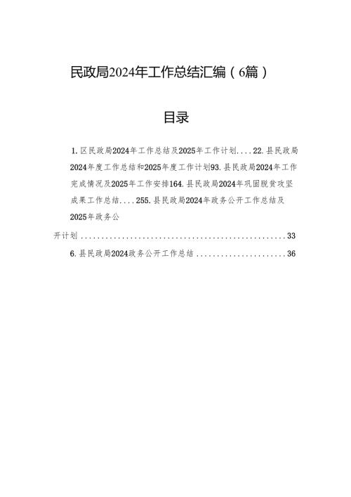 民政局2024年工作总结汇编（6篇）.docx