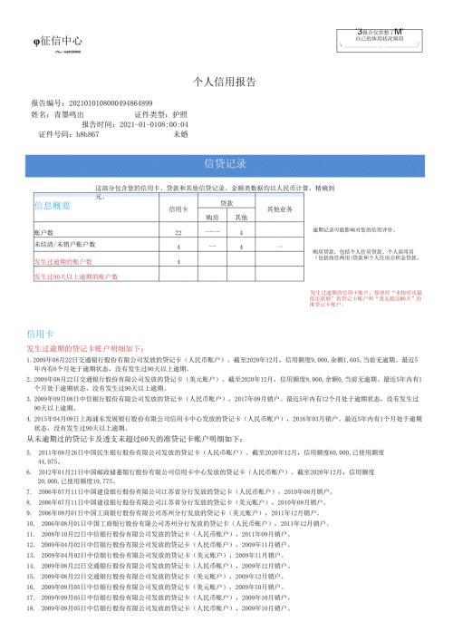 个人征信报告模板征信报告模板(2021简版带水印).docx