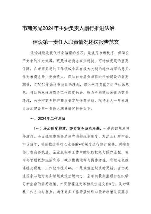 2024年主要负责人履行推进法治建设第一责任人职责情况述法报告范文（商务）.docx