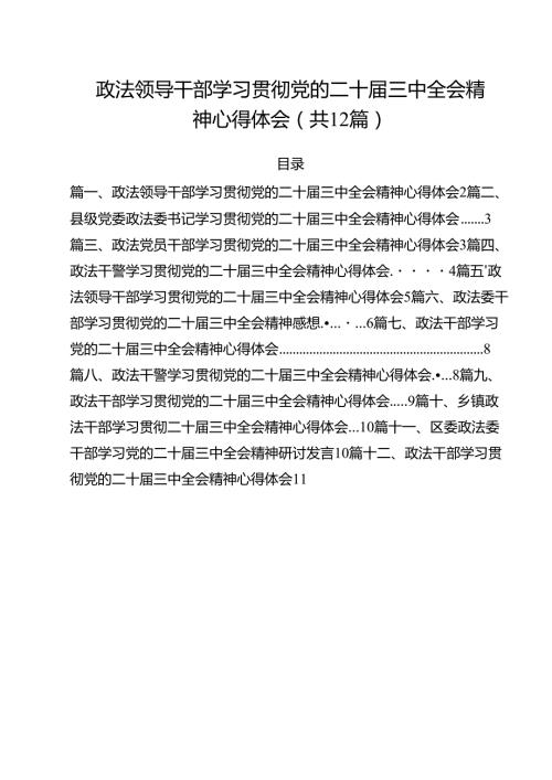 政法领导干部学习贯彻党的二十届三中全会精神心得体会12篇（详细版）.docx