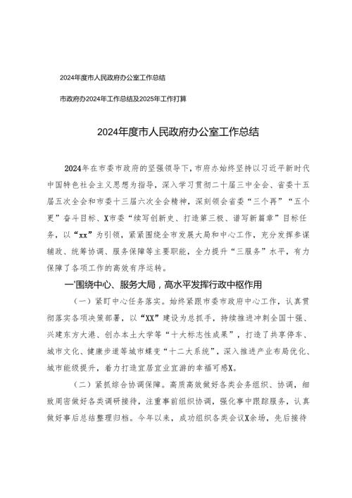 2篇 2024年度市人民政府办公室工作总结.docx