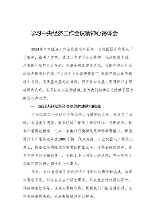 党员干部学习2024年中央经济工作会议精神的心得体会11篇.docx