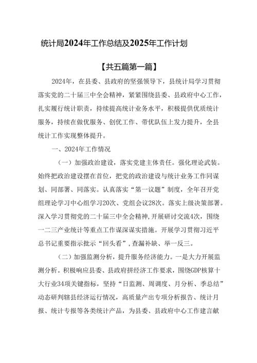 （5篇）统计局2024年工作总结及2025年工作计划.docx