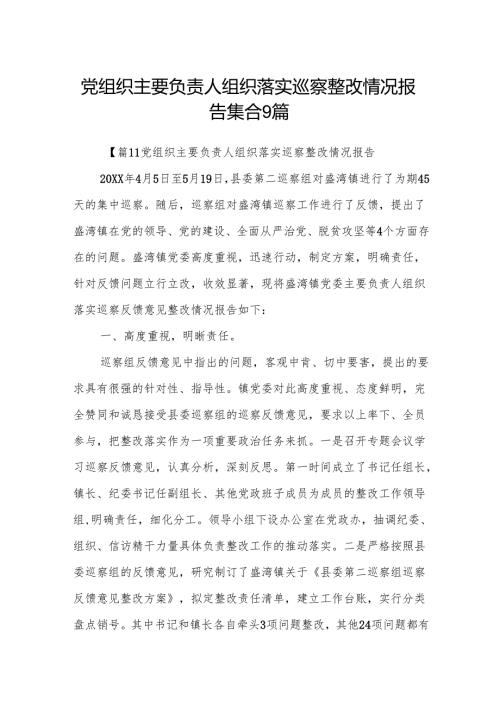 党组织主要负责人组织落实巡察整改情况报告集合9篇.docx