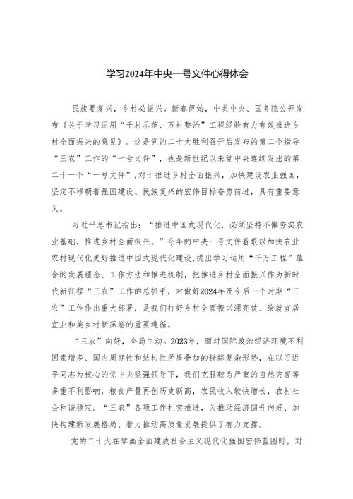 学习2024年中央一号文件心得体会范文精选(9篇).docx