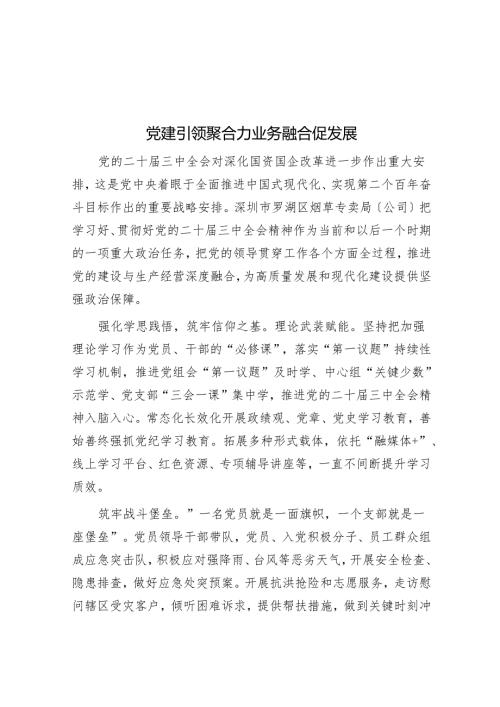 党建引领聚合力 业务融合促发展.docx