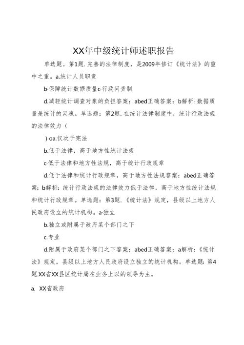 XX年中级统计师述职报告.docx