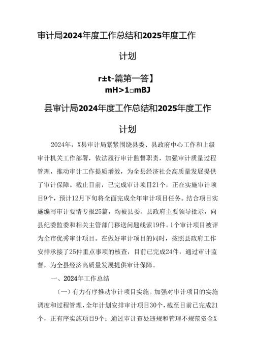（2篇）审计局2024年度工作总结和2025年度工作计划.docx