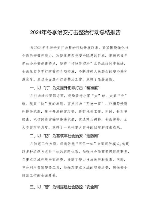 公安局2024年冬季治安行动工作总结11篇.docx
