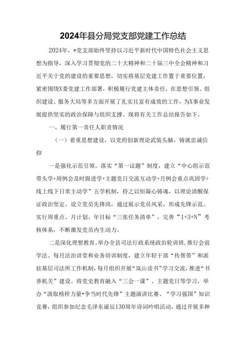 2024年县分局党支部党建工作总结.docx
