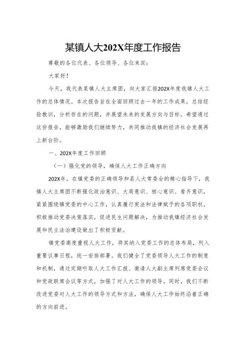 某镇人大202X年度工作报告.docx