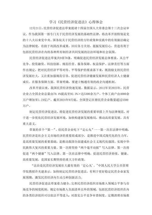 学习《民营经济促进法》心得体会.docx