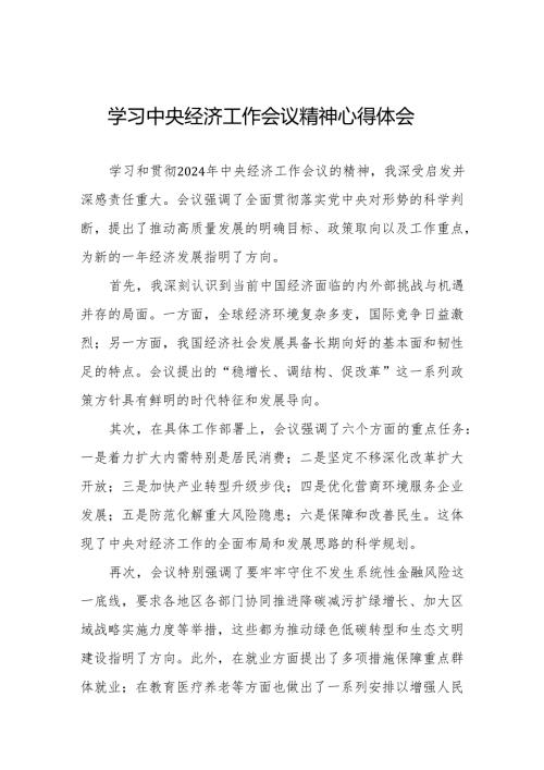 九篇2024年中央经济工作会议精神心得体会最新版.docx