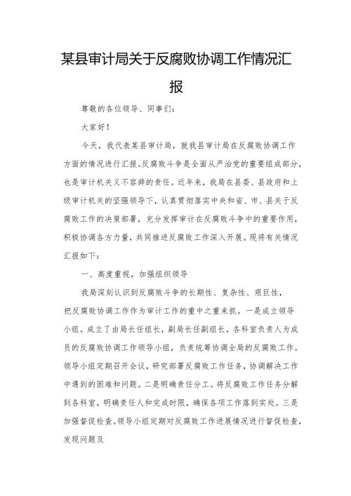 某县审计局关于反腐败协调工作情况汇报.docx