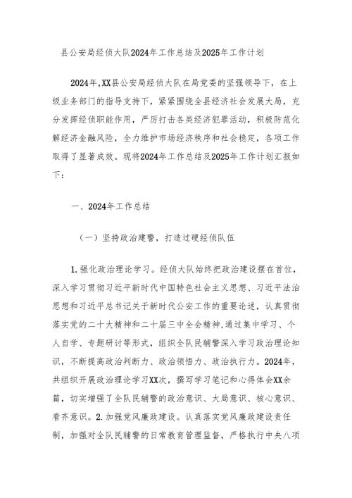 县公安局经侦大队2024年工作总结及2025年工作计划.docx