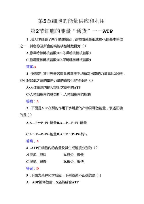 第5章第2节细胞的能量“通货”——ATP.docx