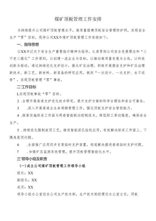 煤矿顶板管理工作安排事项.docx
