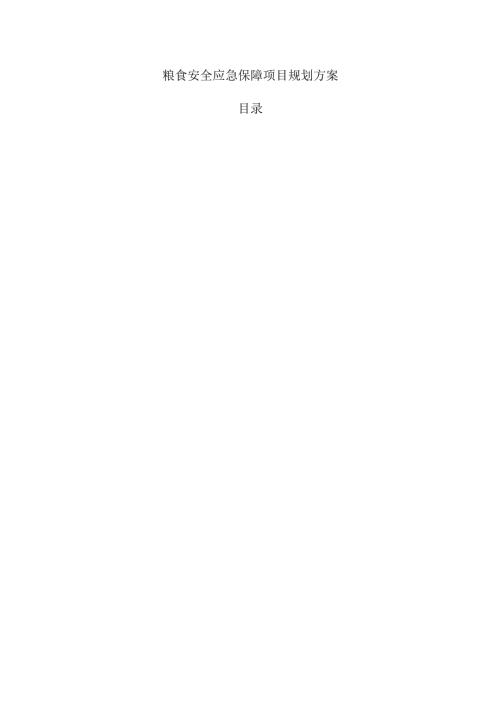 粮食安全应急保障项目规划方案.docx