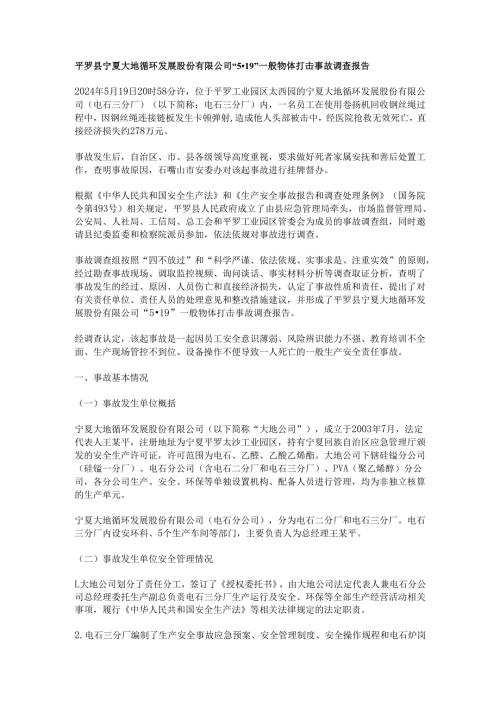 宁夏大地循环 一般物体打击事故调查报告.docx
