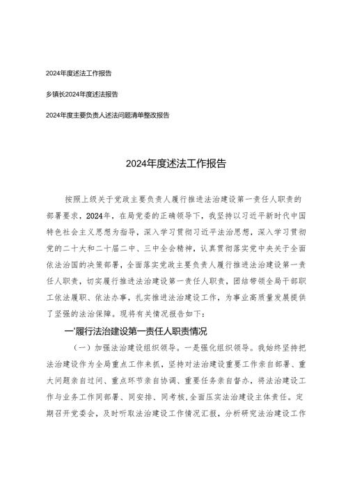 2篇 2024年度述法工作报告+2024年度主要负责人述法问题清单整改报告.docx