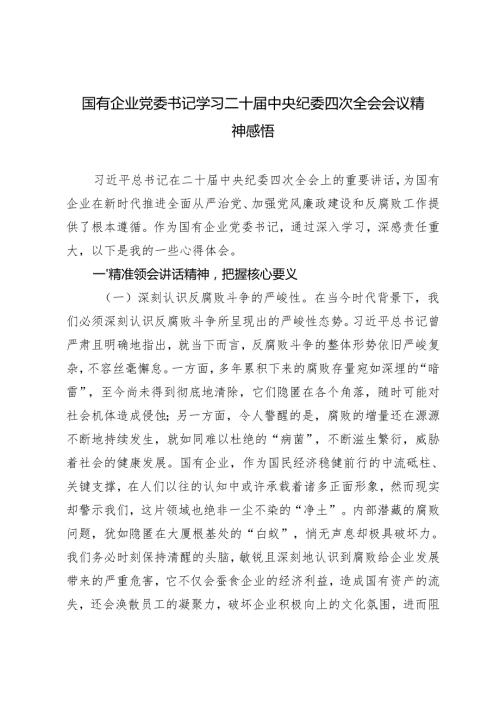 2025年2月国有企业党委书记学习二十届中央纪委四次全会会议精神心得感悟.docx