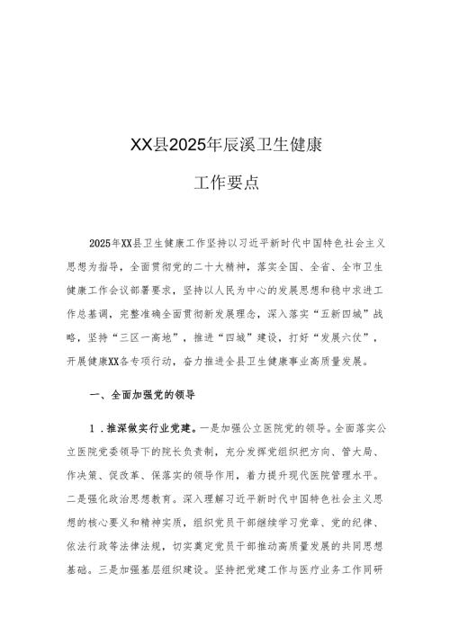 XX县2025年辰溪卫生健康工作要点.docx