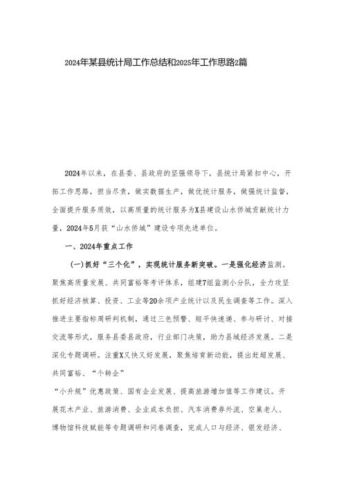 2024年某县统计局工作总结和2025年工作思路2篇.docx