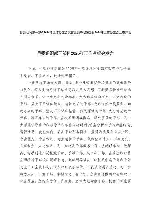 2篇 县委组织部干部科2025年工作务虚会发言讲话.docx